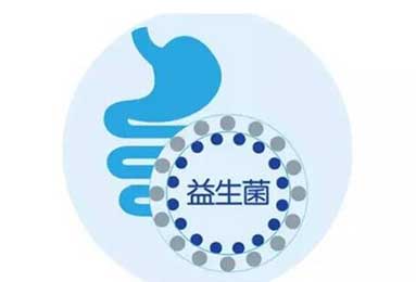 益生菌冻干粉一天几次？大人吃的方法你了解吗？