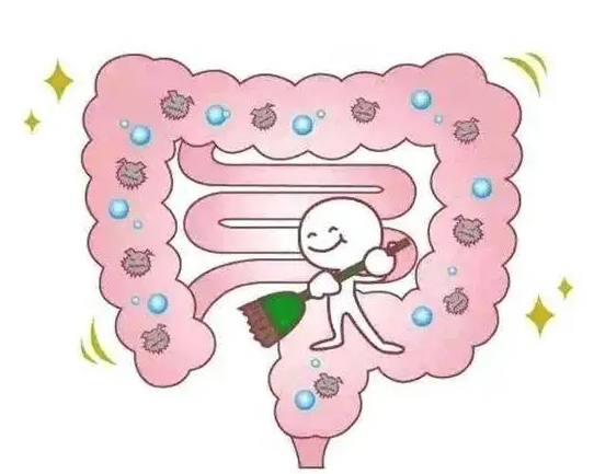 益生菌怎么吃减肥效果最好？所有美眉不要错过这份减肥攻略