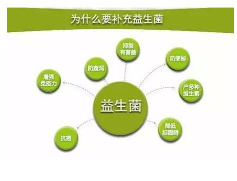 肠胃益生菌什么时候吃好一点？解锁正确吃法事半功倍！