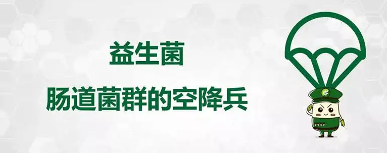 好的益生菌多少钱一盒，还在任人宰割？