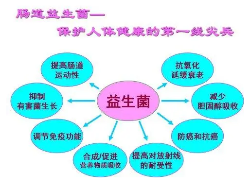 盘点益生菌冻干粉作用与功效，火速码住这份养生干货！