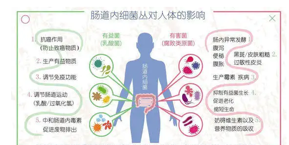 益生菌与老年人的健康有关系吗？看完这篇你就懂了