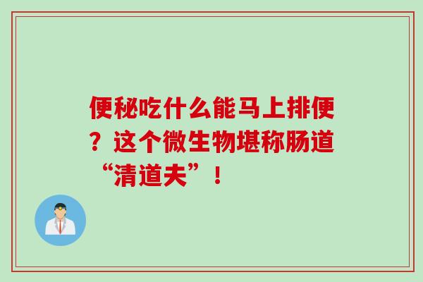 吃什么能马上排便？这个微生物堪称肠道“清道夫”！