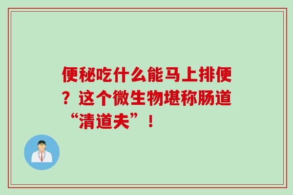 便秘吃什么能马上排便？这个微生物堪称肠道“清道夫”！