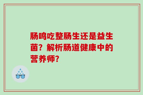 肠鸣吃整肠生还是益生菌？解析肠道健康中的营养师？