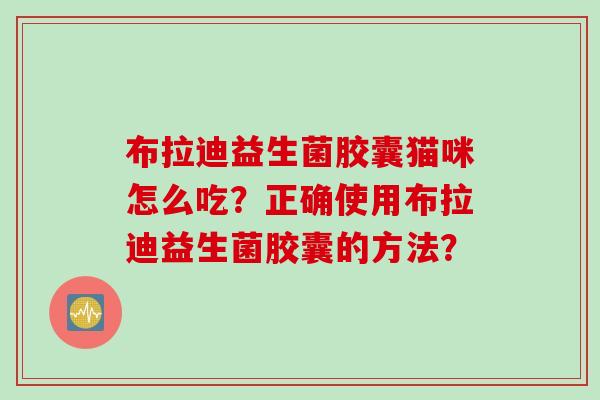布拉迪益生菌胶囊猫咪怎么吃？正确使用布拉迪益生菌胶囊的方法？