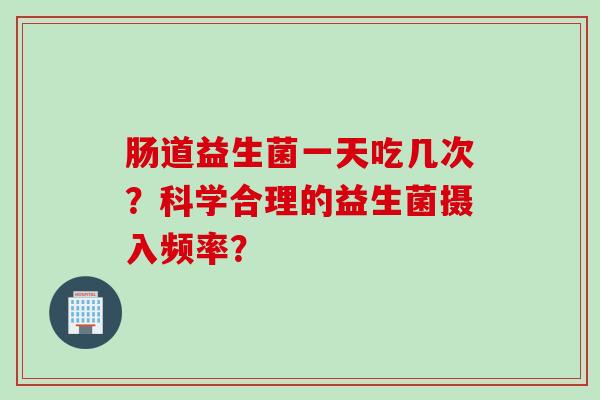 肠道益生菌一天吃几次？科学合理的益生菌摄入频率？