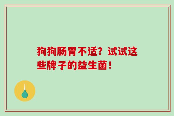 狗狗肠胃不适？试试这些牌子的益生菌！