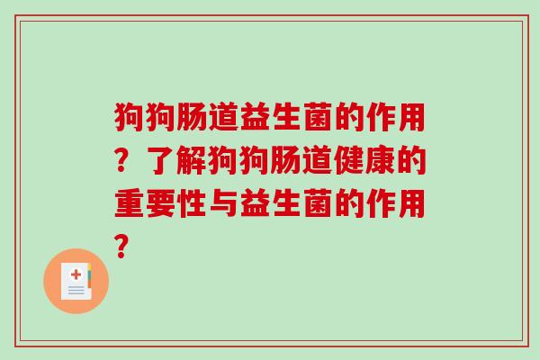 狗狗肠道益生菌的作用？了解狗狗肠道健康的重要性与益生菌的作用？