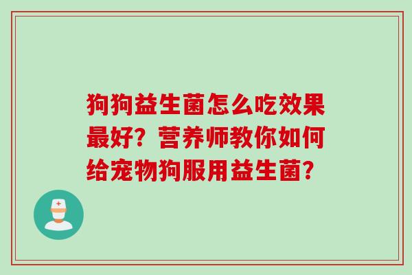 狗狗益生菌怎么吃效果最好？营养师教你如何给宠物狗服用益生菌？