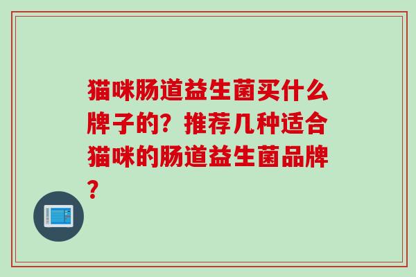 猫咪肠道益生菌买什么牌子的？推荐几种适合猫咪的肠道益生菌品牌？