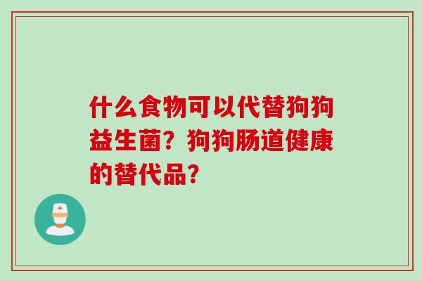 什么食物可以代替狗狗益生菌？狗狗肠道健康的替代品？