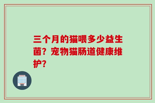 三个月的猫喂多少益生菌？宠物猫肠道健康维护？