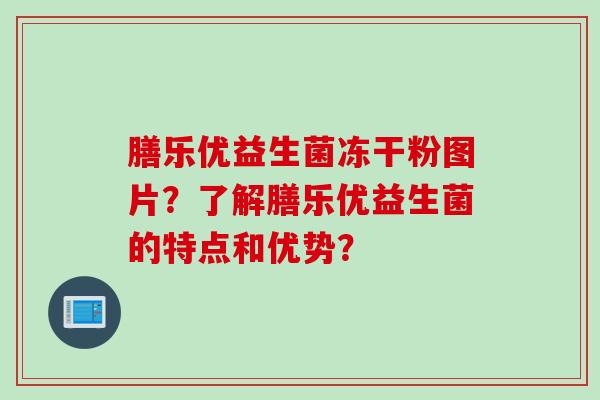 膳乐优益生菌冻干粉图片？了解膳乐优益生菌的特点和优势？