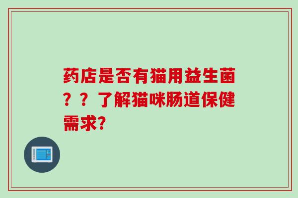 药店是否有猫用益生菌？？了解猫咪肠道保健需求？