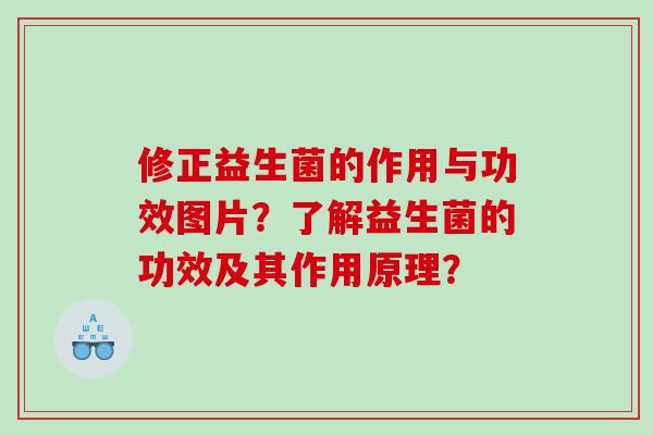 修正益生菌的作用与功效图片？了解益生菌的功效及其作用原理？