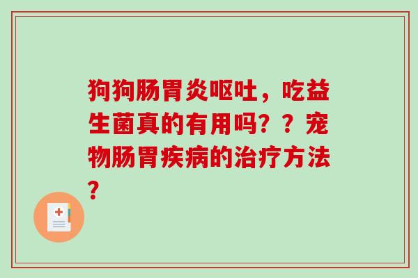 狗狗肠,吃益生菌真的有用吗??宠物肠胃的方法? 狗狗肠,吃益生菌真的有用吗??宠物肠胃的方法?