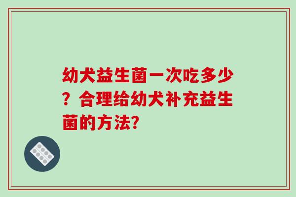 幼犬益生菌一次吃多少？合理给幼犬补充益生菌的方法？