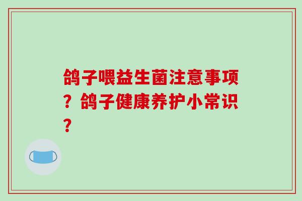 鸽子喂益生菌注意事项？鸽子健康养护小常识？