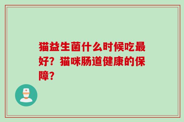 猫益生菌什么时候吃最好？猫咪肠道健康的保障？