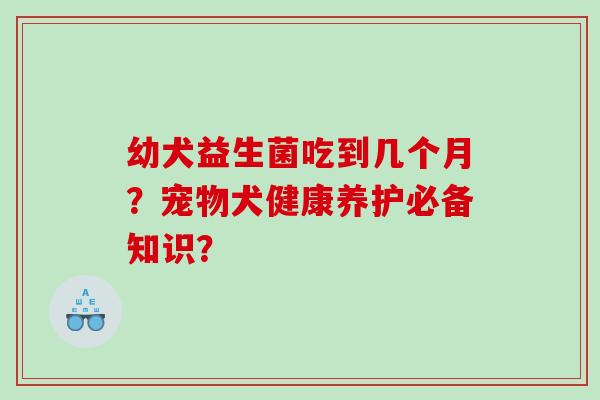 幼犬益生菌吃到几个月？宠物犬健康养护必备知识？