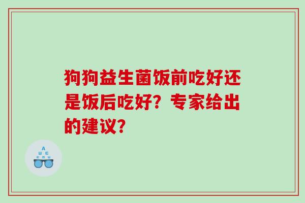 狗狗益生菌饭前吃好还是饭后吃好？专家给出的建议？