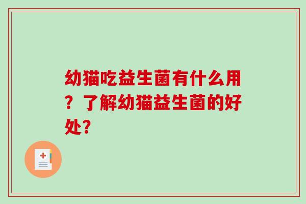 幼猫吃益生菌有什么用？了解幼猫益生菌的好处？