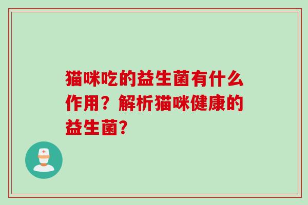 猫咪吃的益生菌有什么作用？解析猫咪健康的益生菌？