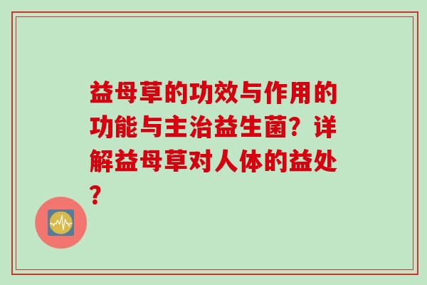 益母草的功效与作用的功能与主治益生菌？详解益母草对人体的益处？