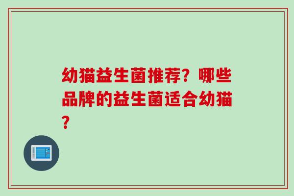 幼猫益生菌推荐？哪些品牌的益生菌适合幼猫？