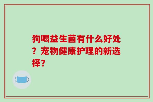 狗喝益生菌有什么好处？宠物健康护理的新选择？