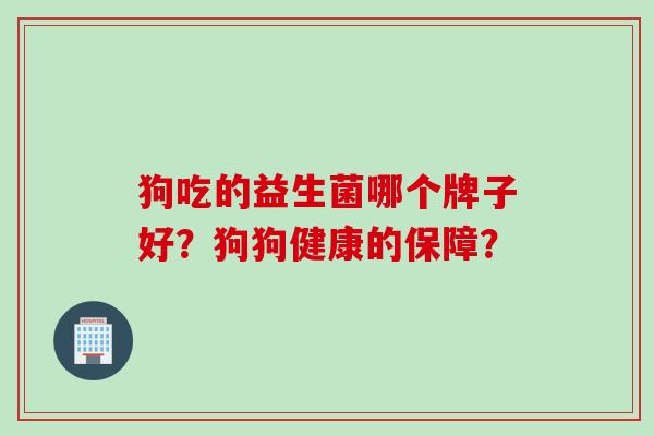 狗吃的益生菌哪个牌子好？狗狗健康的保障？
