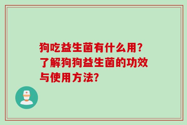 狗吃益生菌有什么用？了解狗狗益生菌的功效与使用方法？