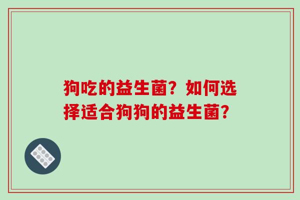 狗吃的益生菌？如何选择适合狗狗的益生菌？