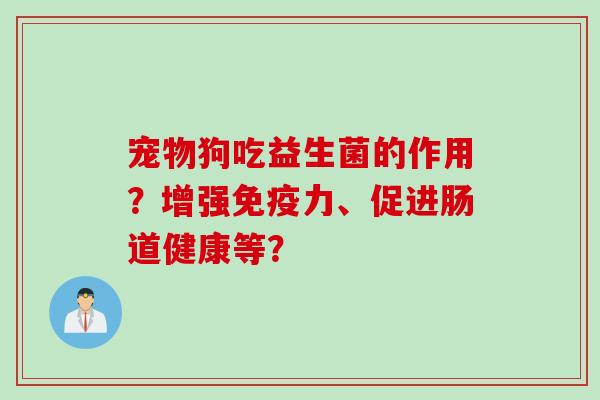 宠物狗吃益生菌的作用？增强免疫力、促进肠道健康等？