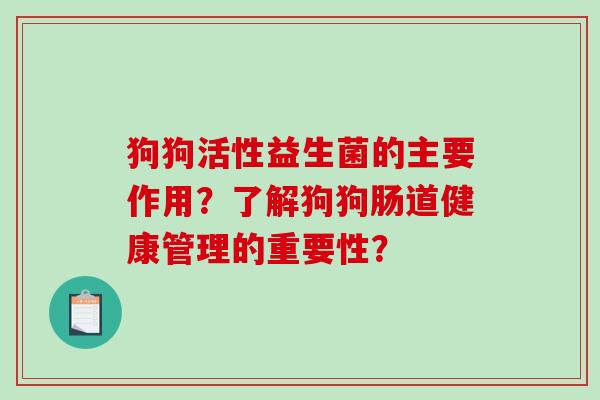 狗狗活性益生菌的主要作用？了解狗狗肠道健康管理的重要性？