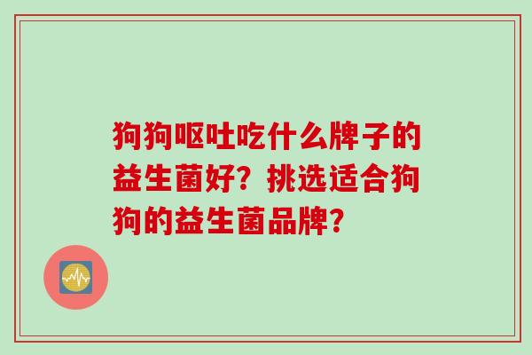 狗狗呕吐吃什么牌子的益生菌好？挑选适合狗狗的益生菌品牌？