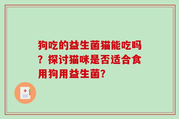 狗吃的益生菌猫能吃吗？探讨猫咪是否适合食用狗用益生菌？