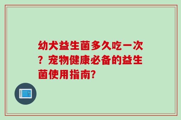 幼犬益生菌多久吃一次？宠物健康必备的益生菌使用指南？