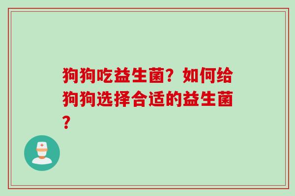 狗狗吃益生菌？如何给狗狗选择合适的益生菌？