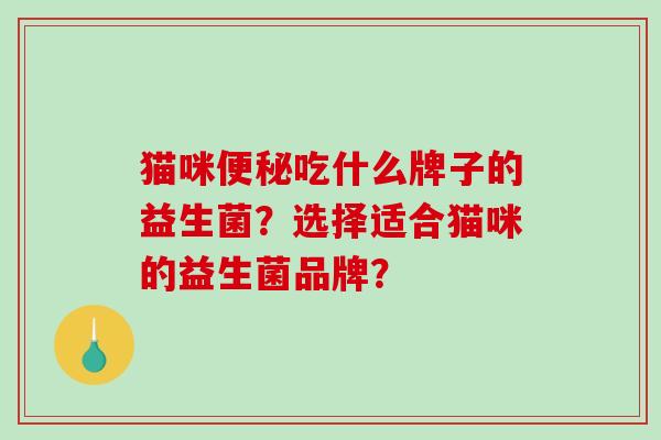 猫咪便秘吃什么牌子的益生菌？选择适合猫咪的益生菌品牌？
