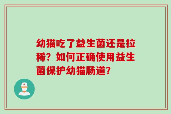 幼猫吃了益生菌还是拉稀？如何正确使用益生菌保护幼猫肠道？