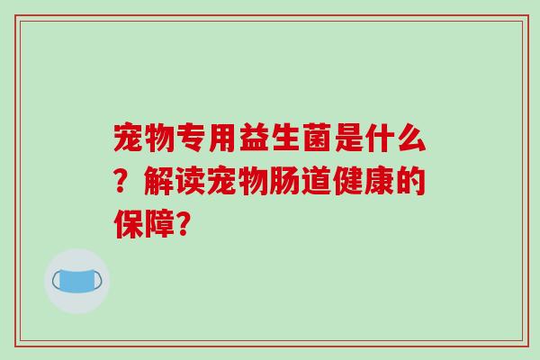 宠物专用益生菌是什么？解读宠物肠道健康的保障？