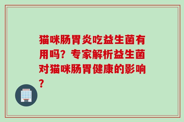 猫咪肠胃炎吃益生菌有用吗？专家解析益生菌对猫咪肠胃健康的影响？