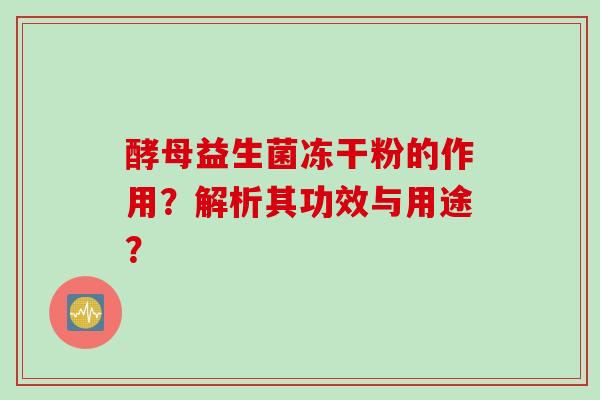 酵母益生菌冻干粉的作用？解析其功效与用途？