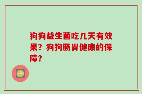 狗狗益生菌吃几天有效果？狗狗肠胃健康的保障？