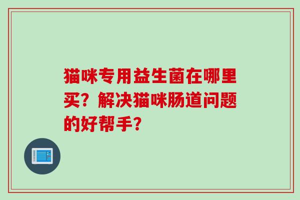 猫咪专用益生菌在哪里买？解决猫咪肠道问题的好帮手？