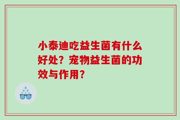 小泰迪吃益生菌有什么好处?宠物益生菌的功效与作用? 小泰迪吃益生菌有什么好处?宠物益生菌的功效与作用?