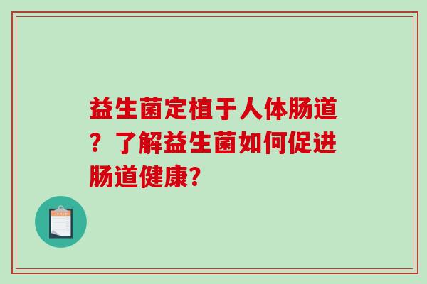 益生菌定植于人体肠道？了解益生菌如何促进肠道健康？