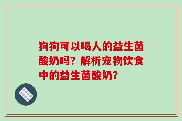 狗狗可以喝人的益生菌酸奶吗？解析宠物饮食中的益生菌酸奶？